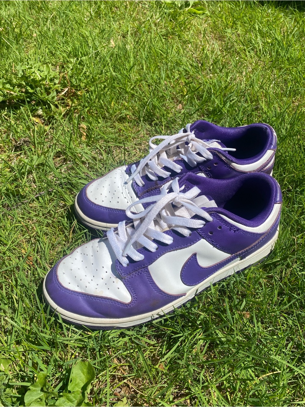 Purple Nike Dunks